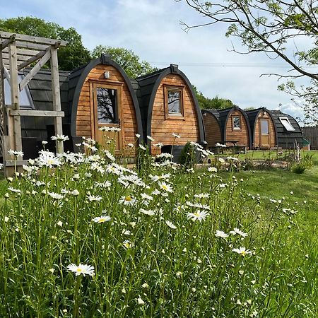 מלון Leighton  Hedgehog Glamping Pod School House Farm מראה חיצוני תמונה