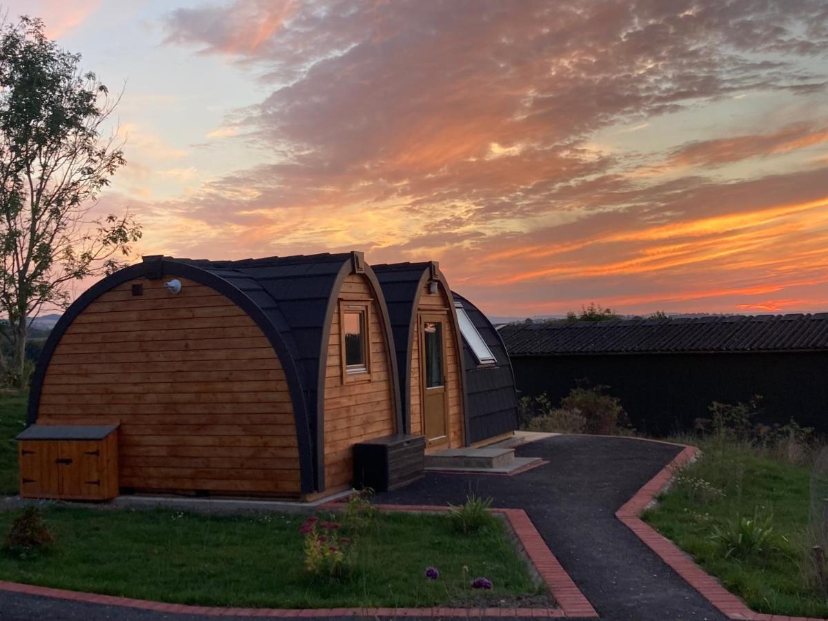 מלון Leighton  Hedgehog Glamping Pod School House Farm מראה חיצוני תמונה