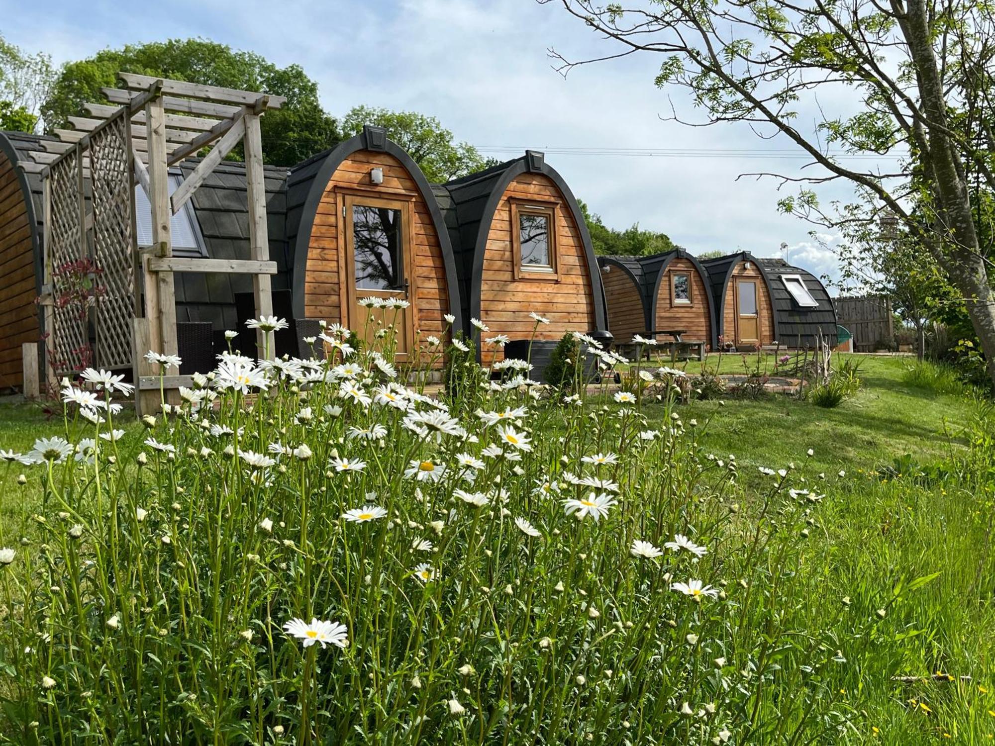 מלון Leighton  Hedgehog Glamping Pod School House Farm מראה חיצוני תמונה